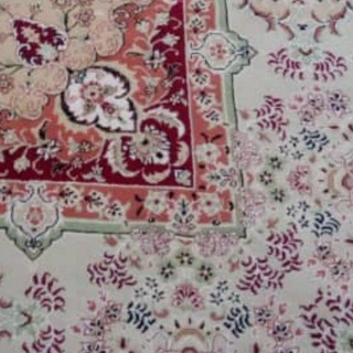 فرصت اصلاح_سجاد احمدی (@sjahmadi)