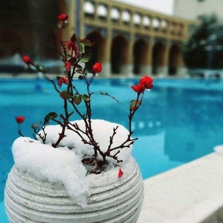 کوچه منتهی به حرم (@azzahraapoem)