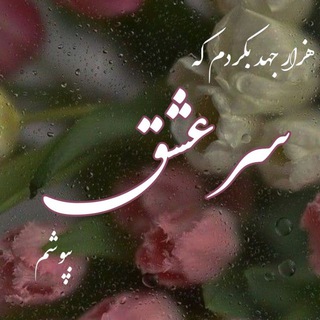 سرِّ عشق (@serre_eshgh)