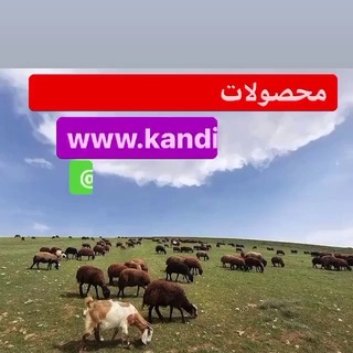 💕اقامتگاه بومگردى كَنديميز💕 (@kandimiz_roosta)