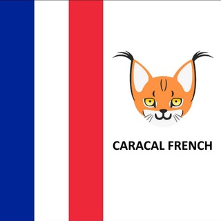 Caracal_fr (@caracal_fr)