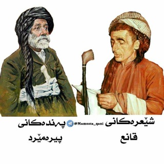 مامۆستا قانع (@mamosta_qani)