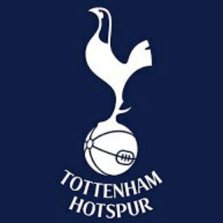 spurs (@tottenhamspursfans)