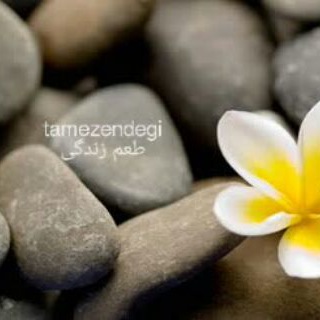 طعم خوش زندگی (@mehbano3)