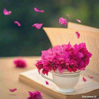 شعر شیرین (@shereshiriin)