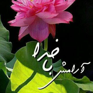 کانال جویندگان بهبودی (@joyandeghanebehbudy)