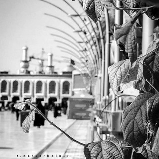 |•ڪَربــَـلا•| (@karbala_r)