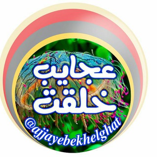 عجایب خلقت و دانش (@ajjayebekhelghat)