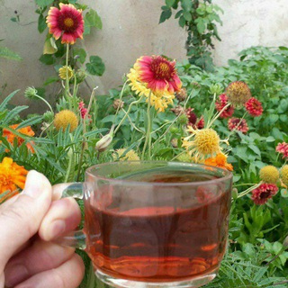 فایل معلّم ۱۴۰۰ (@amoozegar1400)