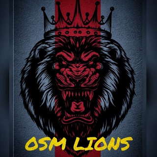 🦁OSM Lions🦁 (@osmlions)