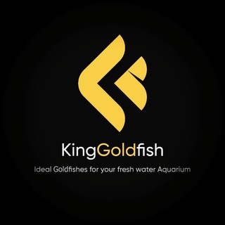 👑 King goldfish 👑 (@kinggoldfishiran)