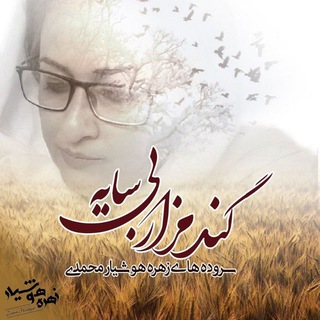 گندمزار بیسایه (@zohreh_hoshiyar)