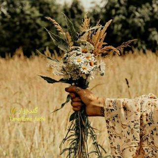 گـنـدم زار ◕‿◕🌾 (@ftme_fathi)