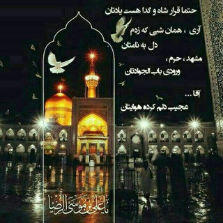 بسیج دانش اموزی (@basij_daneshamozi)