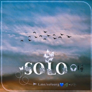 𝐒𝐎𝐋𝐎 (@soloorg)