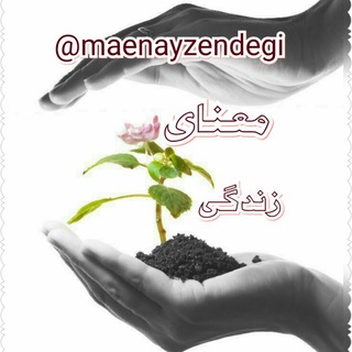 انرژی مثبت .شکرگزاری (@maenayzendegi)