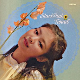 بلکپینک توییت (@blackpinktweet)