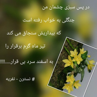 شعر نسترن (@nastarannafarieh)