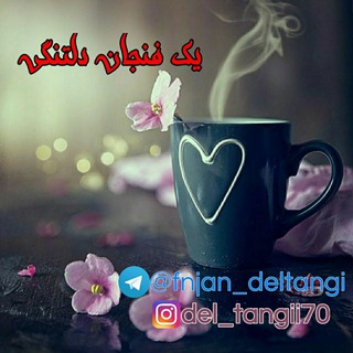 یک فنجان زندگی ...☔️ (@fnjan_deltangi)