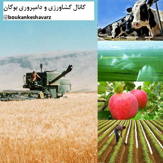 کانال کشاورزی بوکان (@keshavarzi_boukan)
