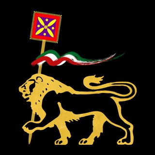 کیان ملی (@kiianmelli)