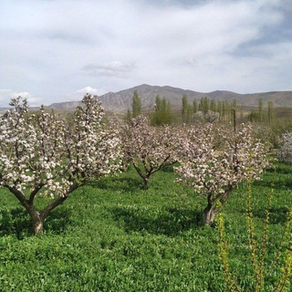 کانال اصلی روستای کهنه اوغاز (@oghazekohne)