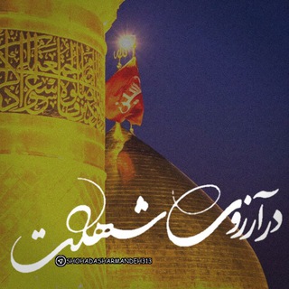 "دࢪآرزوۍشــهـــادت³¹³" (@shohadasharmandeh313)
