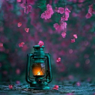 فـانوس (شعر) (@s7faanoos)