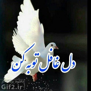 ღ꧁دل غافل توبه کن꧂⊱♥≺ (@f_tajikisx)