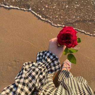 نَبــضْ (@nabbad999)