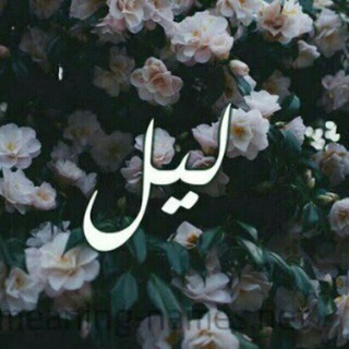 ليل . 🖤 (@lile67)