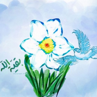 گروه بوی نرگس (@booyenarges_group)