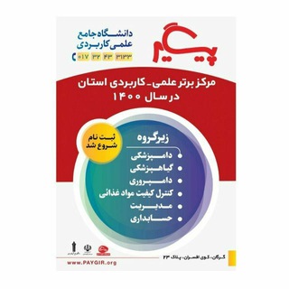 دانشگاه پیگیر | Paygir Uni (@paygiruni)