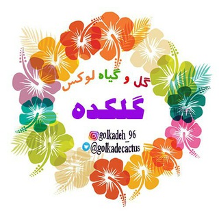 گل و گیاه لوکس گلکده (@golkadecactus)