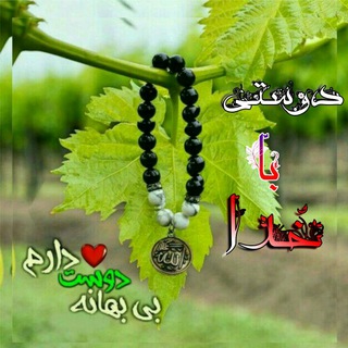 🌸°دوستــۍ❈باخــُـدا°🌸 (@bakhoda_313)