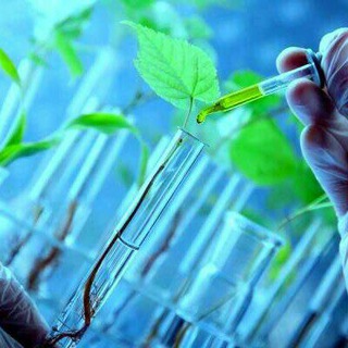 اخبارکشاورزی وجزوات گیاه پزشکی (@plantmedicianbook)