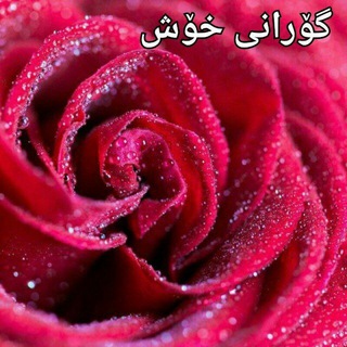 گۆرانــــــــی خۆش 😍 (@zeribaar)