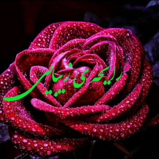 رایحه ی زیبایی (@rayehe_zibaii)