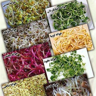 محصولات ارگانیک سروشت (@jawanesabz)