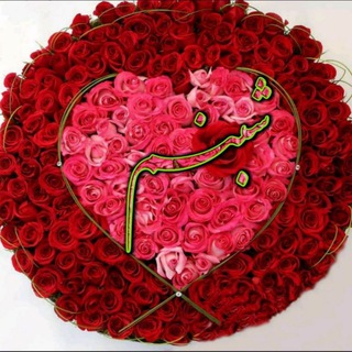 صدای شبنم (@seda_shabnam)