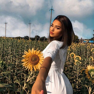 𝑴𝒓𝑫𝒖𝑴 (@mrdum1)