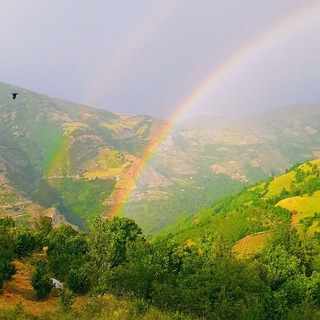 یالمنگ🌈 (@yalemangg)