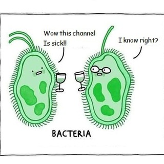 Bacterial-Memes (@bacterial_memes)