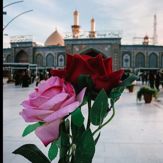 ♥️دل ودلبـ(یابن حیدر)ــر♥️ (@deltangedelbar)