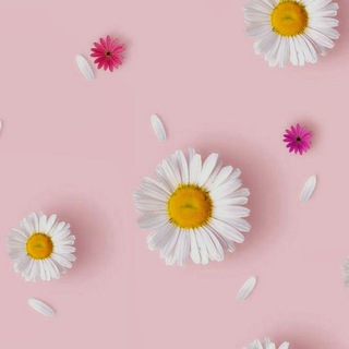 دلبـرونـ💕ــه☽︎☆ ·𓏲 ࣪𓄹៸៸ (@daniyalsadeghei)