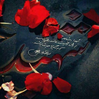 ❥•بهوقتشهادت♡✿ (@shahadat_ziba)