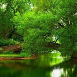 ترفندهای روانشناسی💚🍃 (@aramesh_roh_ravan)