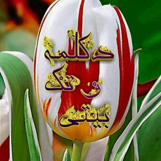 💕 دکلمه و تک بیتی 💕 (@deklameh_1)