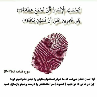 قیامت (@qiyamat3)