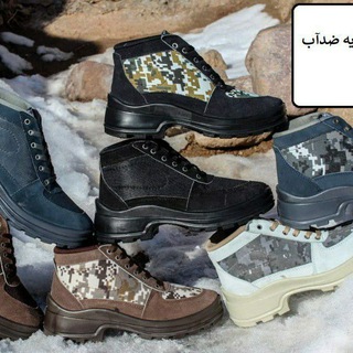 کفش کارتک ستاره (@kafshkary)